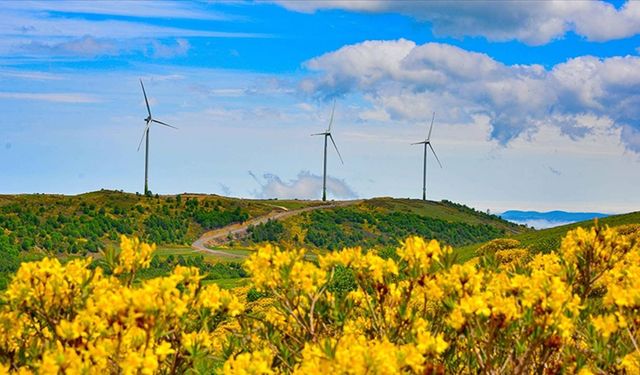 Rüzgârdan elektrik üretiminde yeni rekor