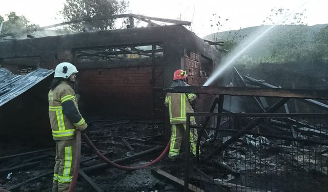 Bursa'da ağıl yangını: 100'den fazla tavuk telef oldu