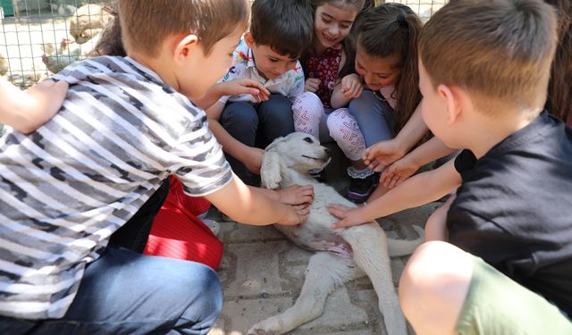 Bursa tarım lisesi ana sınıfı öğrencileri doğayla iç içe