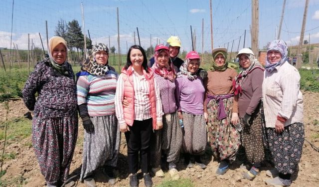 Bilecik Pazaryeri'nde yetişen şerbetçiotu üreticisi iplikleme mesaisinde