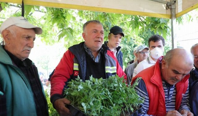 Bursa Gemlik'te Ata tohumları hayata dönüşüyor