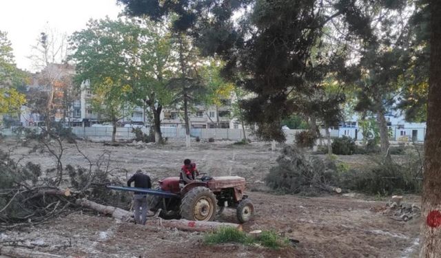 Bursa Yenişehir'de Millet Bahçesi'nde kontrollü katliam!