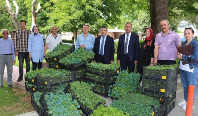 Bursa'nın Ata Tohumları Yenişehir'de fidelendi