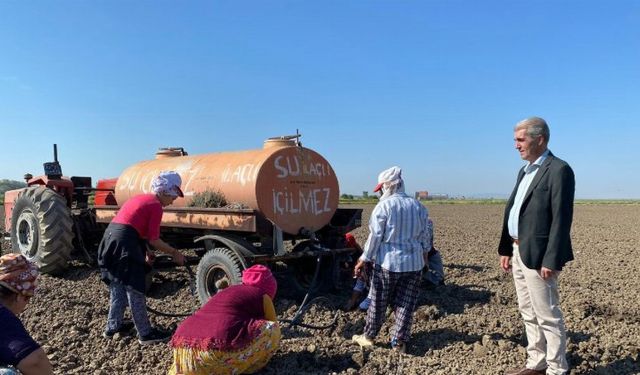 Edirne İpsala'da çiçek üreticiliği başlıyor