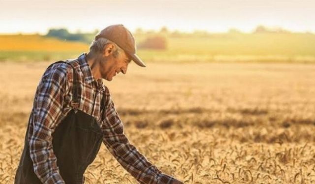 Tarımsal Girdi Fiyat Endeksi açıklandı