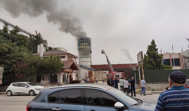 Bursa'da orman ürünleri fabrikasında yangın