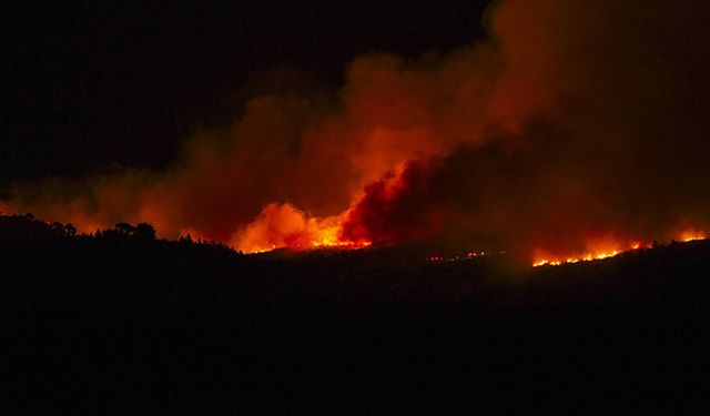 Orman yangınında çok sayıda ev zarar gördü