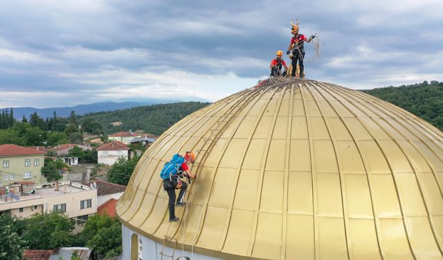 Bursa'da Camii Kubbesinden Düşen Yavru Leylekler Kurtarıldı