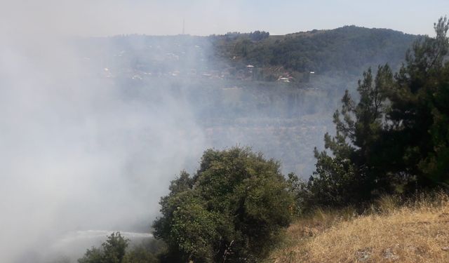 Bursa'da Zeytinlikte Çıkan Yangına Müdahale Devam Ediyor