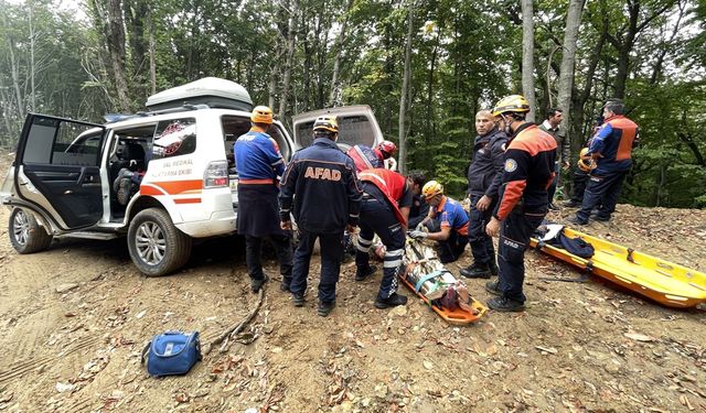 Bursa'da ağaçtan düşen kişi kurtarıldı