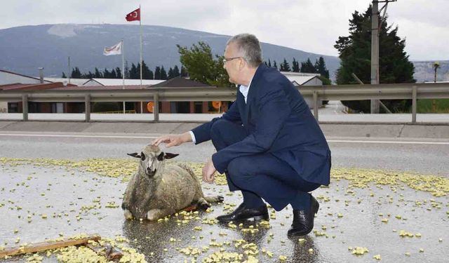 Bursa’da Tır şoförünün dikkati faciayı önledi