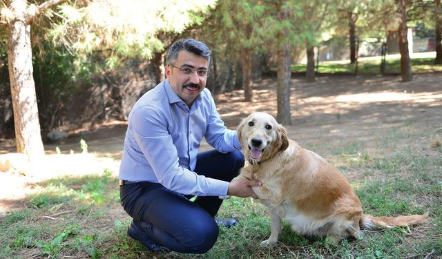 Yıldırım'da Sokak Hayvanlarına Dev Hizmet