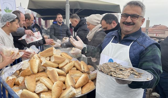 Bursa Osmangazi'de 1 tonluk hamsi festivali