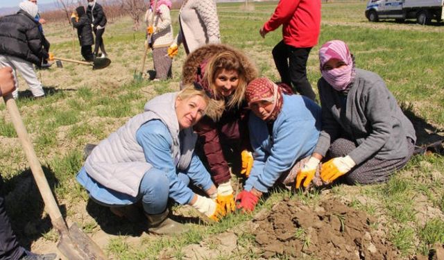 Antalya'yı kadınlar fıstıkla yüceltecek