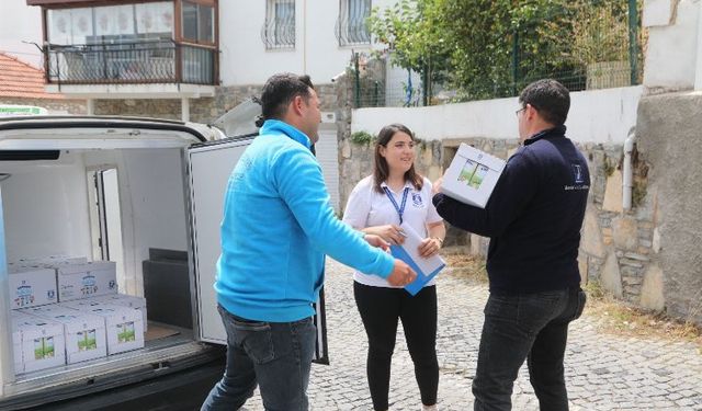 Bodrum'da 'Halk Süt' ilgisi