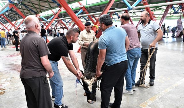 Osmangazi'de Kurban Kesimleri Hijyenik İlerliyor