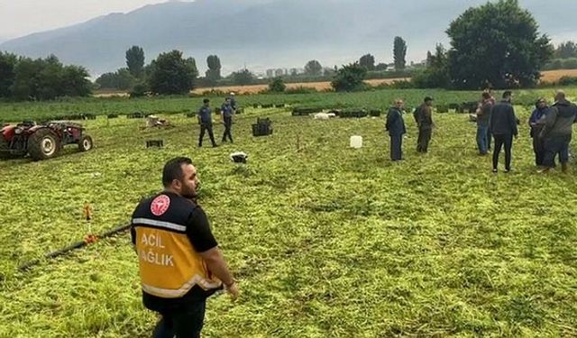 Bursa'da Yıldırım Tarlaya Düştü! 1 Kişi Hayatını Kaybetti