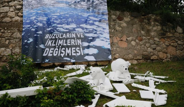 Bursa ve çevre illerde 5 Haziran Dünya Çevre Günü etkinliklerle kutlandı