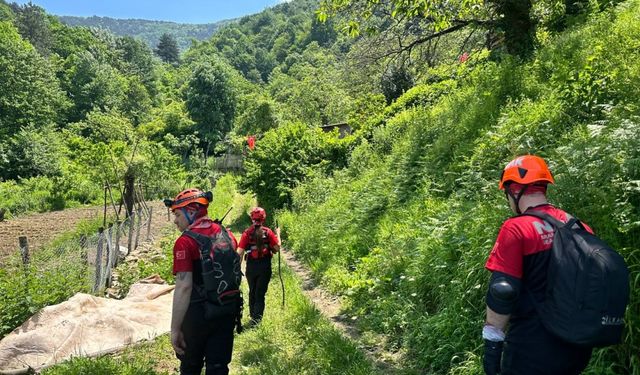 Uludağ'ın yamaçlarında kaybolan kişi 7 gündür aranıyor