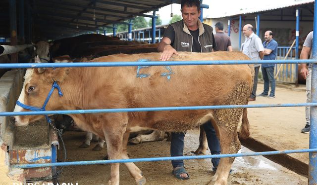 Bursa Nilüfer’de kurban kesim alanları belirlendi