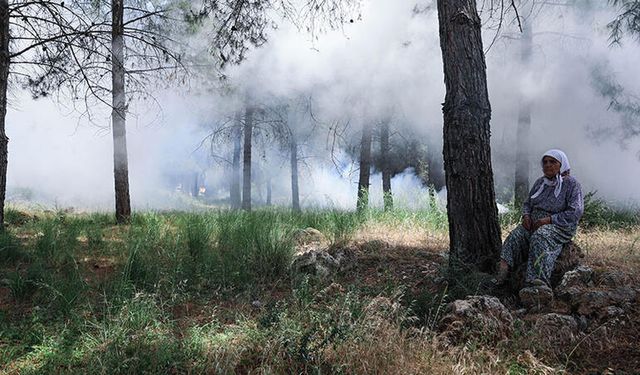 Karacabey'de Çıkan Orman Yangını Kontrole Alındı