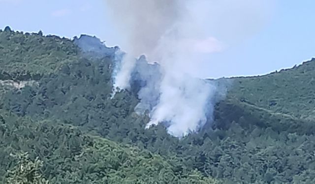 Bursa Yenişehir'de çıkan orman yangını söndürüldü