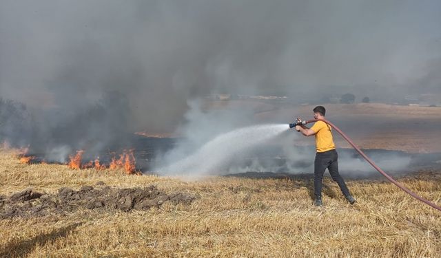 Bursa'da buğday tarlasında çıkan yangın söndürüldü