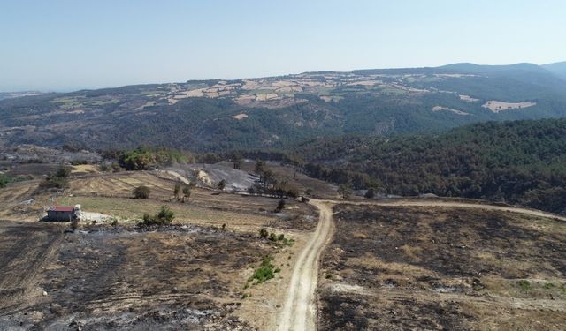 Çanakkale'deki orman yangınında 2 bin 500 hektar alanın zarar gördüğü belirlendi