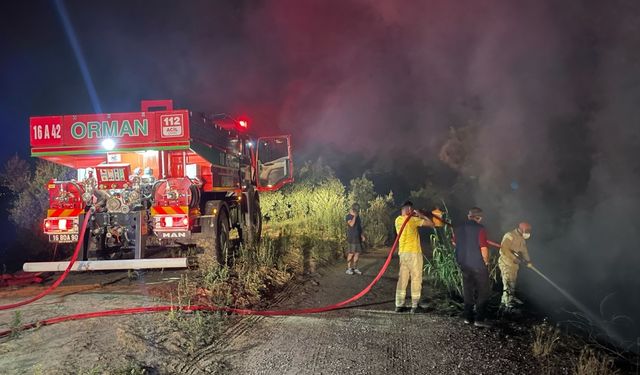 Bursa'da çıkan orman yangını kontrol altına alındı