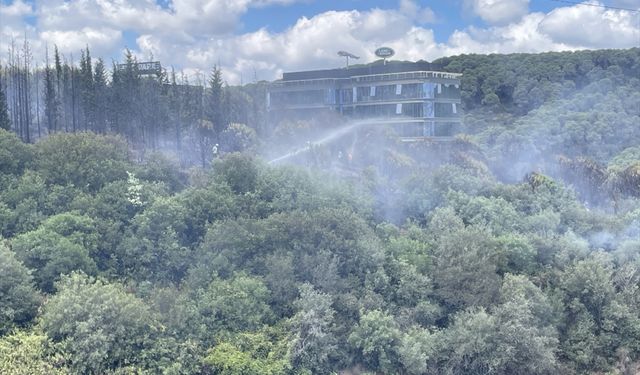 Kağıthane'de ormanlık alanda çıkan yangın söndürüldü