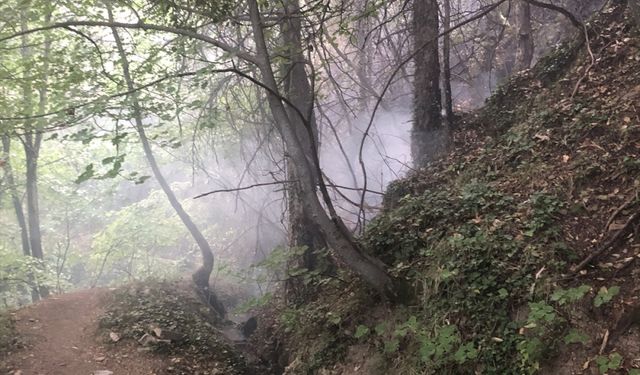 Uludağ'ın eteklerinde çıkan orman yangını kontrol altına alındı