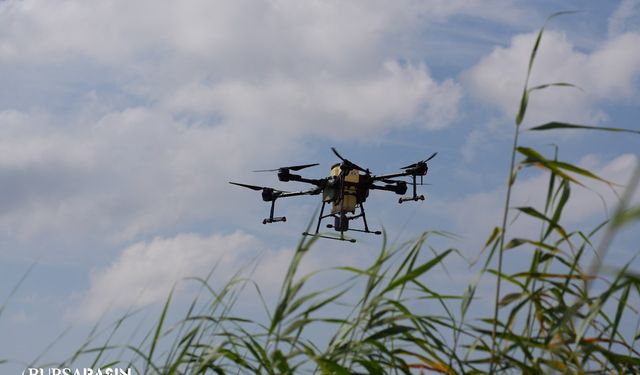 Bursa'da Drone ile ilaçlama