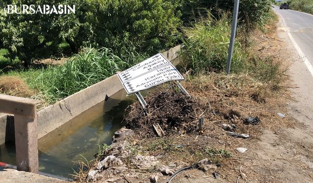 Bursa'da 2 Kişinin Öldüğü Trafik Kazası Kameraya Yansıdı