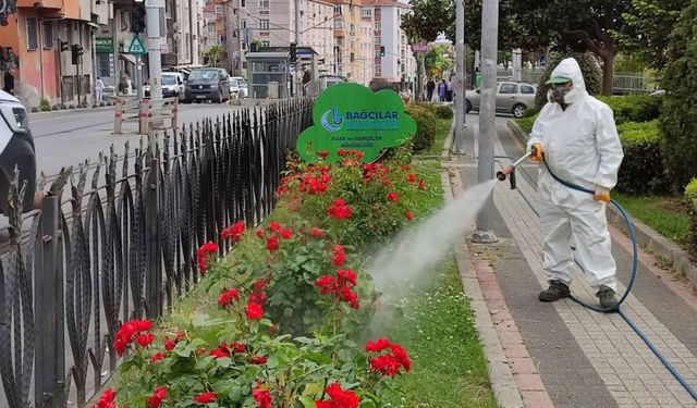 Bağcılar Belediyesi yeşil alanlarda ilaçlama çalışması yaptı