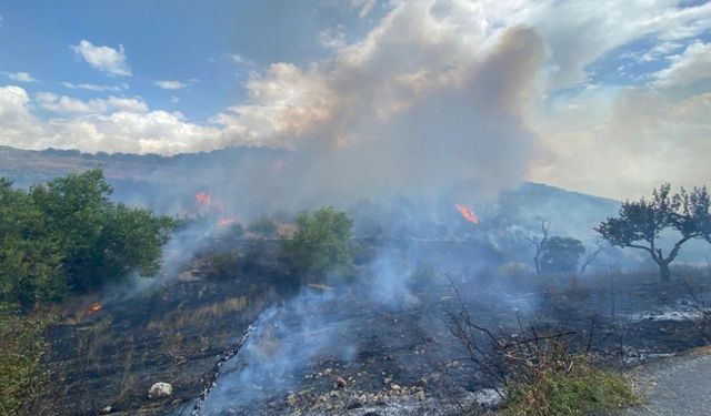 Balıkesir'in Altıeylül ilçesinde orman yangını çıktı