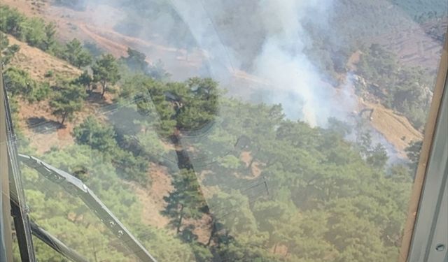 Balıkesir'in Burhaniye ilçesinde orman yangını çıktı