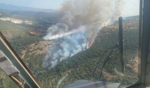 Balıkesir'in Kepsut ilçesinde orman yangını çıktı