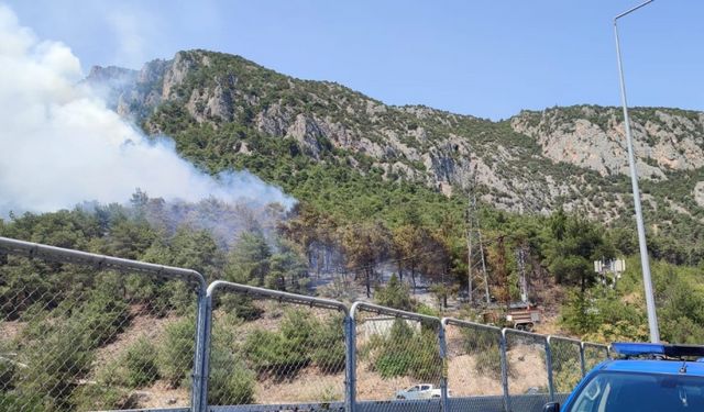 Bilecik'te çıkan orman yangınına müdahale ediliyor