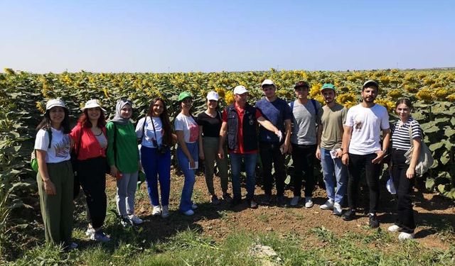 Çanakkale'de "Ayçiçeği Tarla Günü" etkinliği düzenlendi