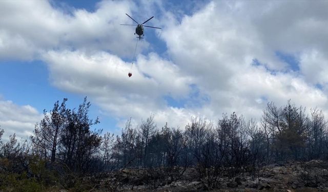 Çanakkale'de çıkan orman yangını kontrol altına alındı