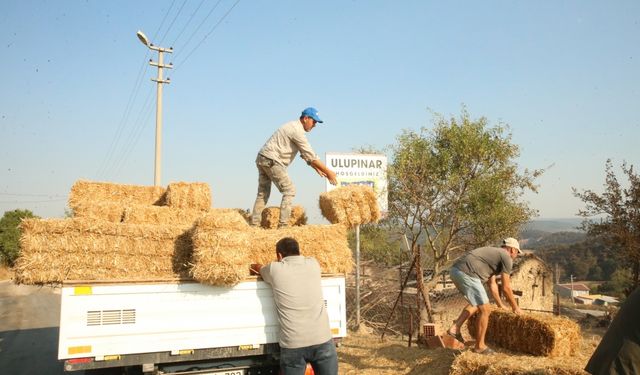 Çanakkale'deki yangında meralarını da kaybeden köylülere yem desteği veriliyor