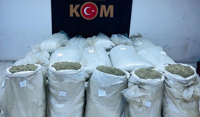 Edirne'de 720 kilo 350 gram kaçak çay ele geçirildi