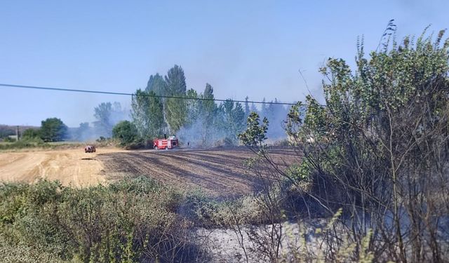 Edirne'de çıkan anız yangını söndürüldü