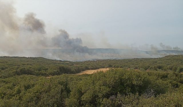 Gelibolu Yarımadası'nda makilik alanda yangın çıktı