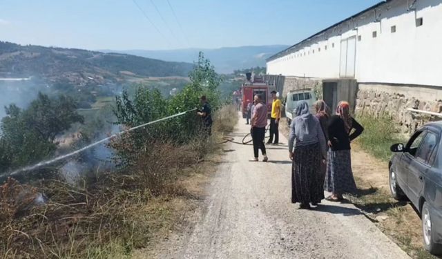 Geyve'de otluk alanda çıkan yangın söndürüldü