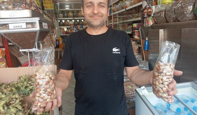 Gölcük'te üreticiler fındık hasadı mesaisine başladı