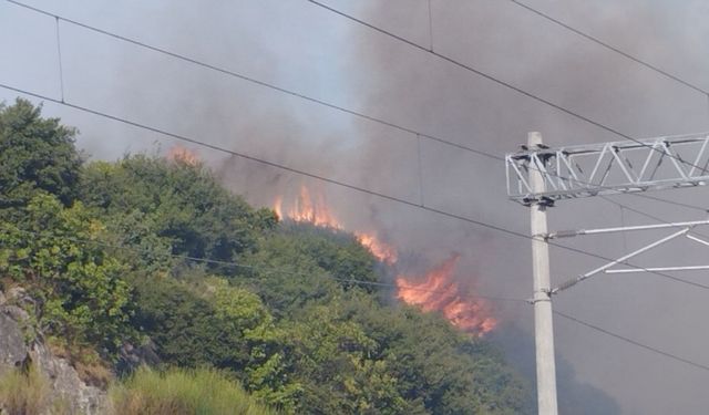 Kocaeli'de çıkan orman yangını kontrol altına alındı