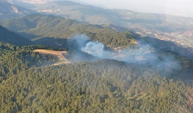 Balıkesir İvrindi'de çıkan orman yangını kontrol altına alındı