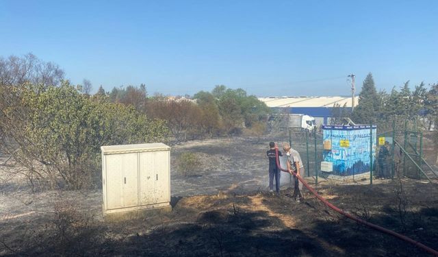 Kocaeli'de otluk alanda çıkan yangın ormana sıçramadan söndürüldü