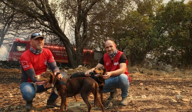 İHH gönüllüleri Çanakkale'deki yangında barakada mahsur kalan 2 köpeği kurtardı